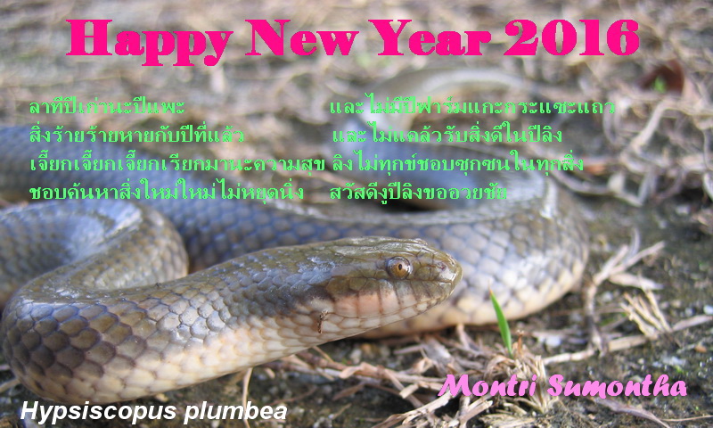 Happy2016