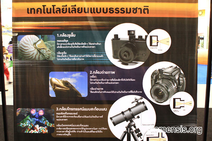 วิวัฒนาการธรรมชาติ กับ เทคโนโลยี