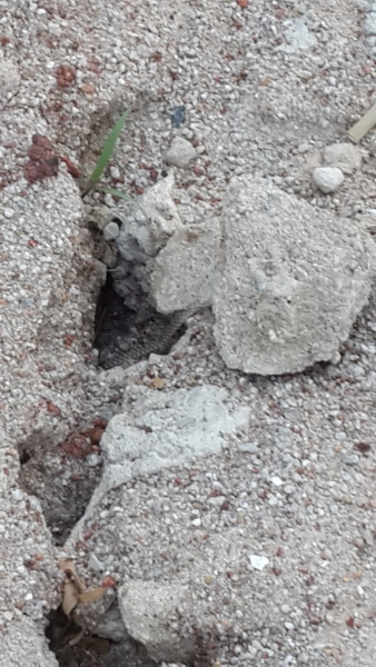 20140424_071257.jpg