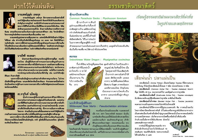 แผ่นพับชมงานด้านหลัง