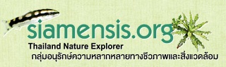 กลุ่มอนุรักษ์ความหลากหลายทางชีวภาพและสิ่งแวดล้อม
