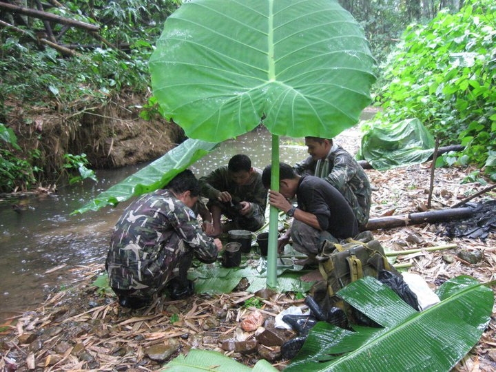 ภาพโดยเขตรักษาพันธุ์สัตว์ป่าทุ่งใหญ่นเรศวรตะวันออก