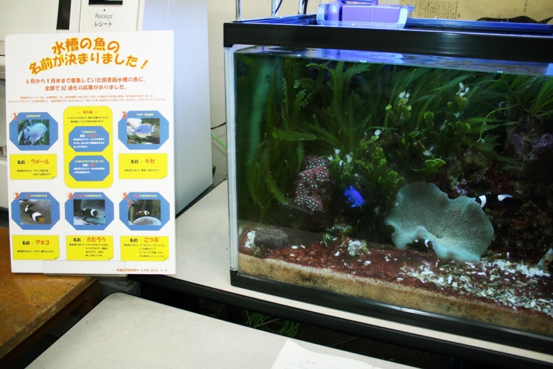 สมาชิกปลาการ์ตูนที่ห้องสมุด Tokyo Univ. of Marine Sciences