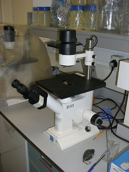 #หน้าตาของ Inverted light microscope ครับ (ที่มา http://en.wikipedia.org/wiki/File:Inverted_Microscope.jpg)