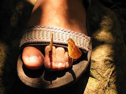 Leave not thing but the footprint, take nothing but the photograph มิตรภาพต่างสายพันธุ์