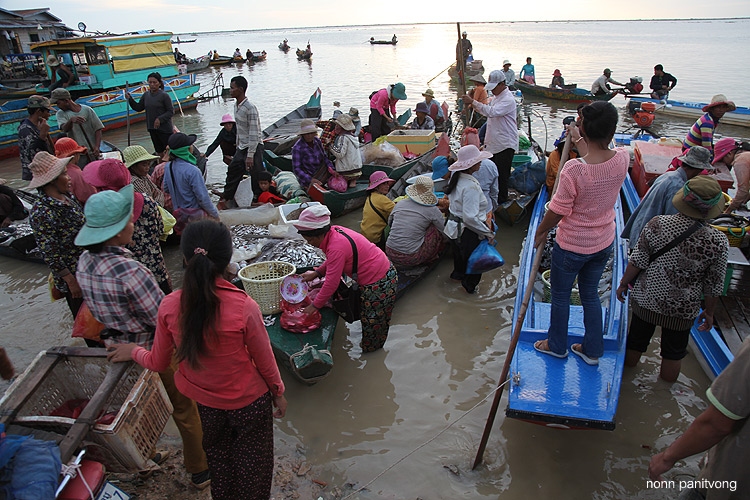ปลาเป็นรายได้และแหล่งโปรตีนที่สำคัญแหล่งหนึ่งของประชาชนในลุ่มน้ำโขง