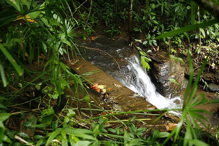 ภาพแทนคำตอบ 