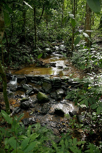 สภาพลำธารเหนือฝาย กับล่างฝาย ต่างกันชัดเจน มันควรจะเป็นแบบไหน?