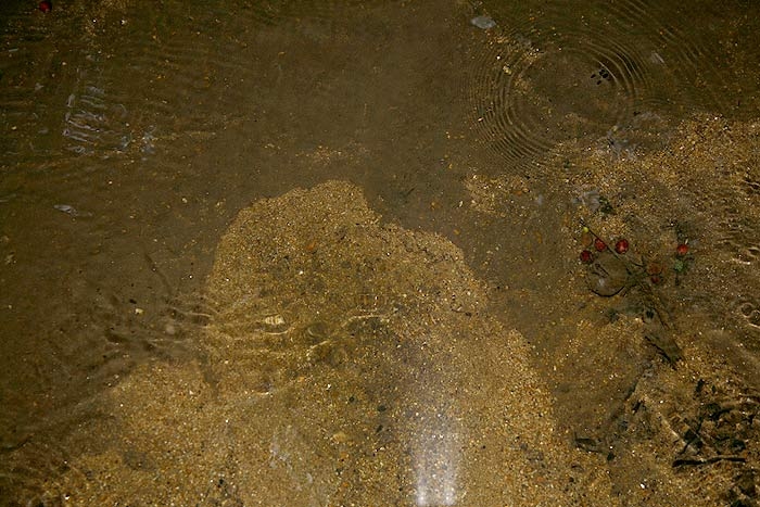 ลองขุดทรายดู ถมหินพื้นลำธารเดิมอยู่เป็นคืบเลยเชียว