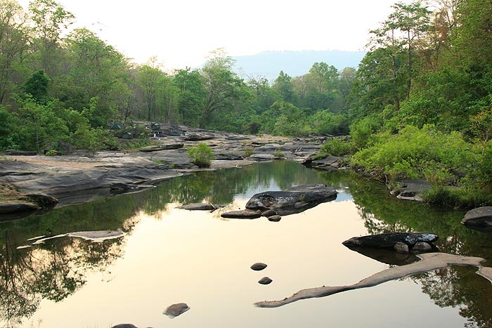 คลองชมพูบริเวณที่สำรวจพบจระเข้