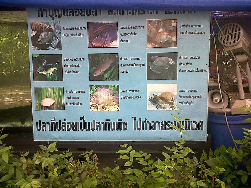 ป้ายโฆษณาที่ปรากฏอยู่ที่สวนสัตว์ดุสิต