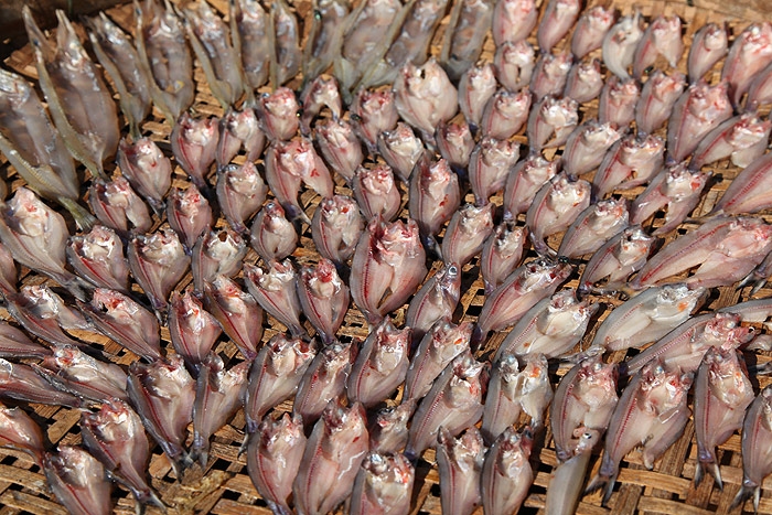 fish_dried1.jpg