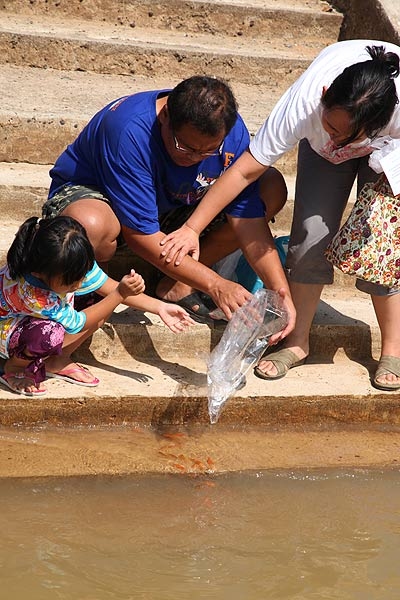 ปล่อยเอเลี่ยนตัวสีส้ม มันไม่มีสิทธิ์รอดชีวิตเลย...