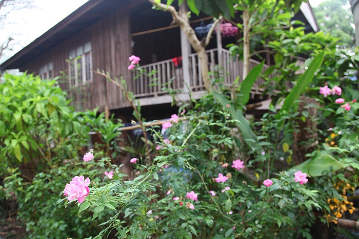 house1.jpg