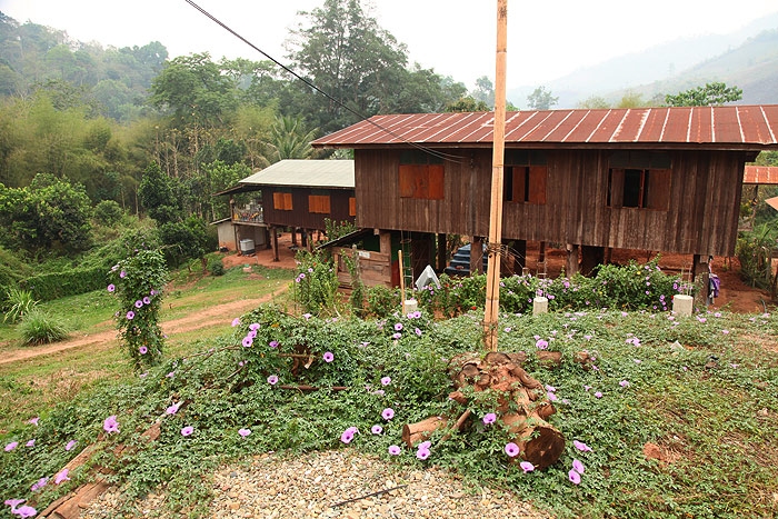 house2.jpg