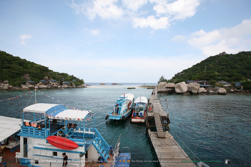 ท่าเทียบเรือเกาะนางยวน