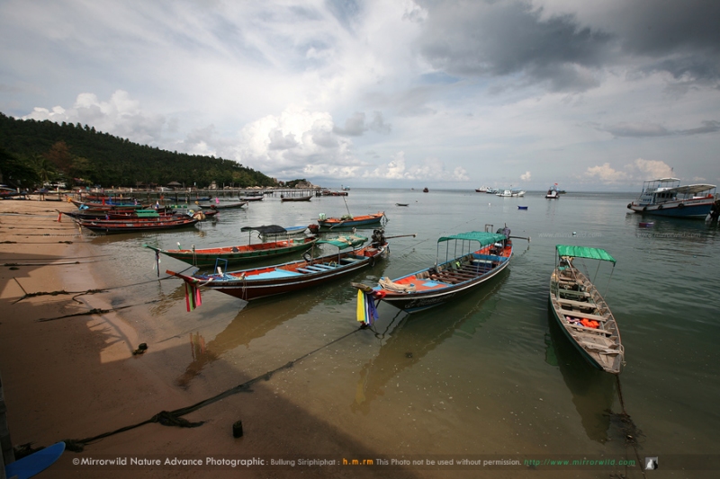 koh-tao-16.jpg