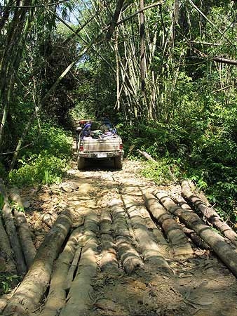 สะพานซุงข้ามห้วยแบบนี้เราต้องผ่านหลายครั้งเลยครับ