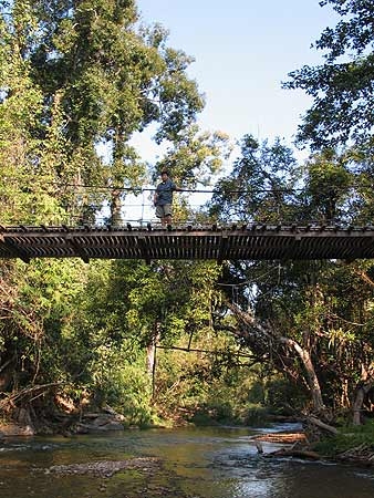 สะพานข้ามแม่น้ำ โปรดสังเกตุทาซาน อยู่บนสะพาน
