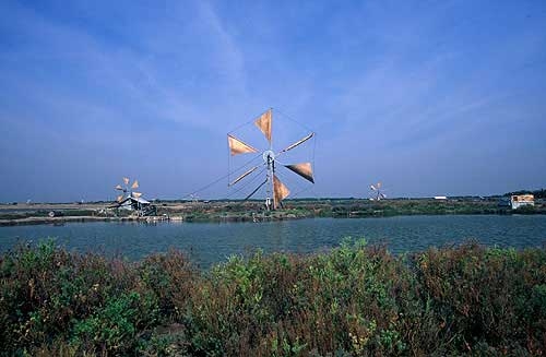 Salt field in the area