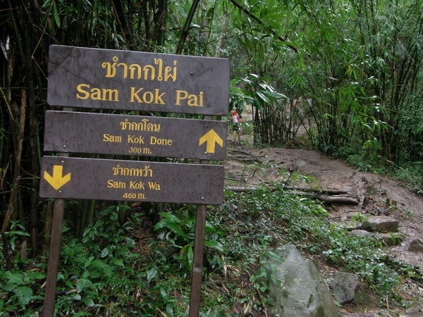 pa132617.jpg