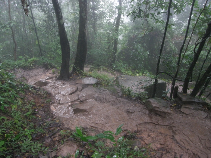 pa132656.jpg