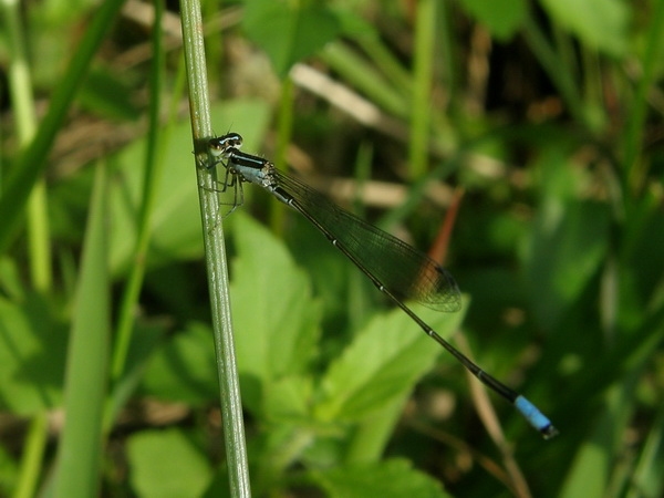 pa142919.jpg