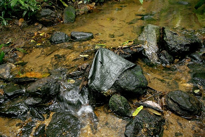 กระสอบพอผุพังก็กองอยู่แบบนี้