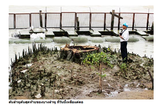 ภาพจาก manager.co.th