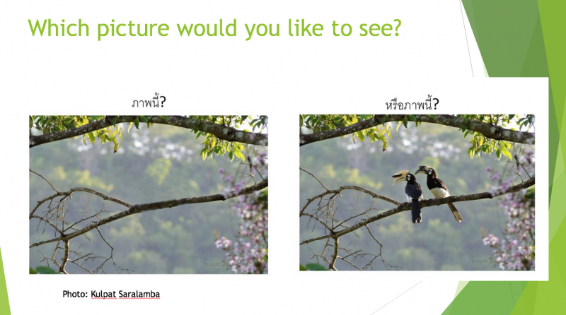 คุณชอบภาพไหนมากกว่ากัน?