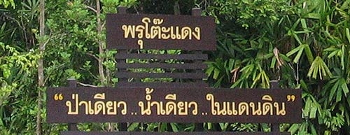 พรุโต๊ะแดง ป่าเดียว น้ำเดียว ในแดนดิน เห็นป้ายนี่แล้วแถบจะกระโดดกอด