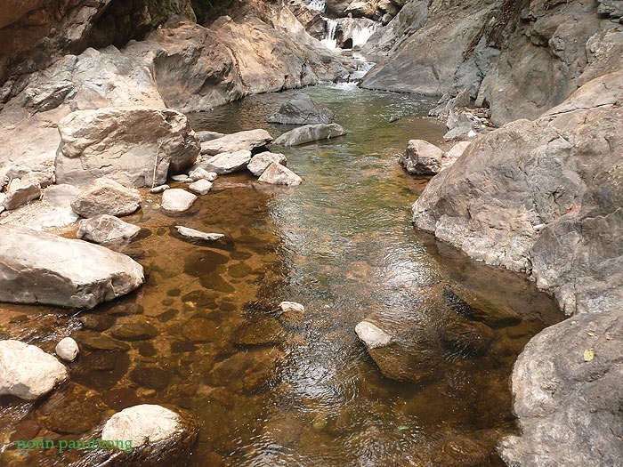 sila_habitat.jpg
