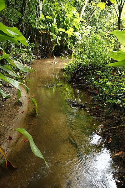 จู่ๆก็กลายเป็นแบบนี้ 