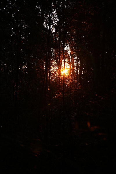 sun.jpg