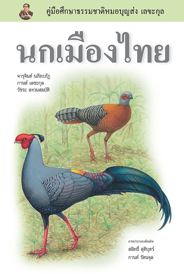 thai_bird_guide.jpg
