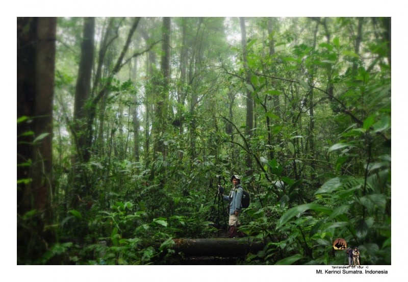 tuckmt.kerinci_4.jpg