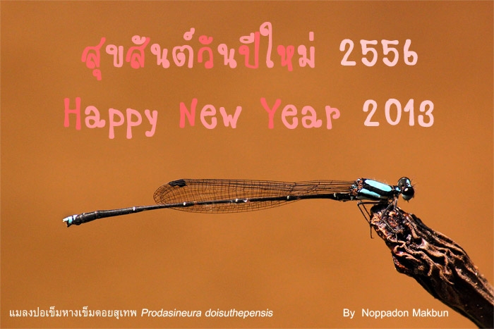 สวัสดีปีใหม่ 2556