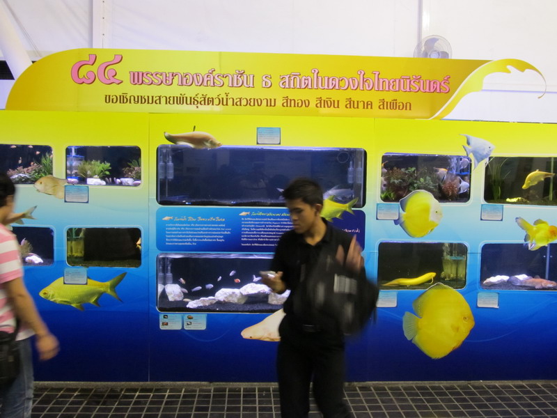 ส่วนงานเฉลิมพระเกียรติ