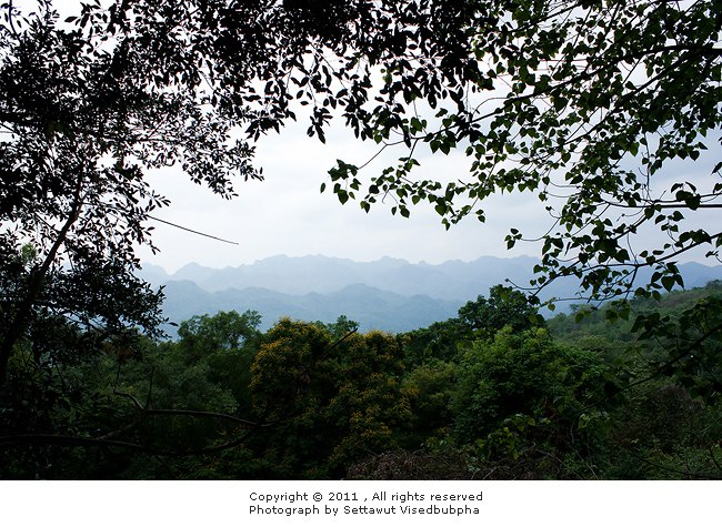 วิวด้านบน