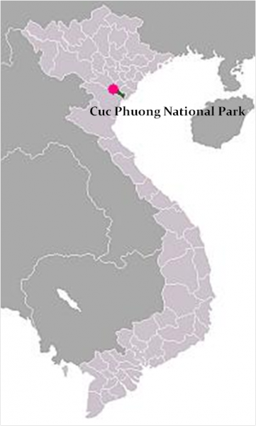 Cuc Phuong National Park