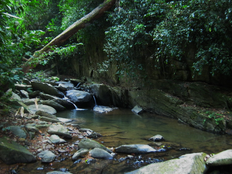 สภาพโดยรวมเหนือน้ำตก
