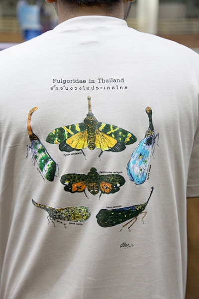 ด้านหลังของเสื้อยืด