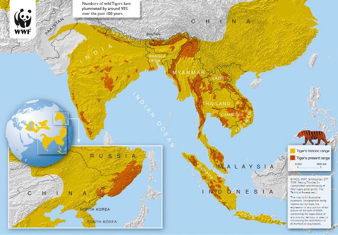 Tiger Distribution