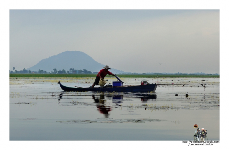 เรือประมงพื้นบ้าน ได้ปลาเยอะเหมือนกัน